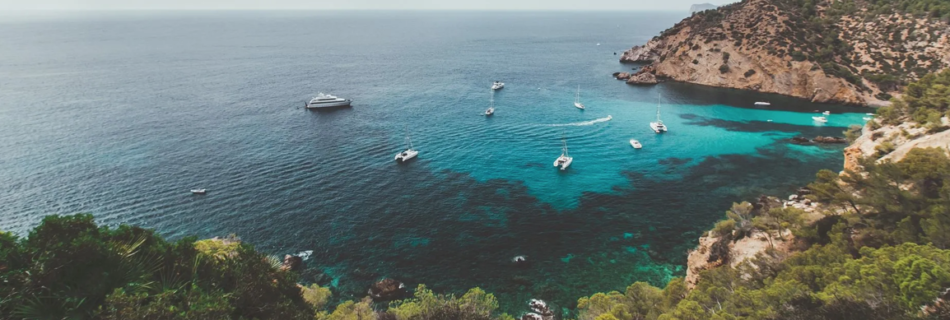 yachts at sea