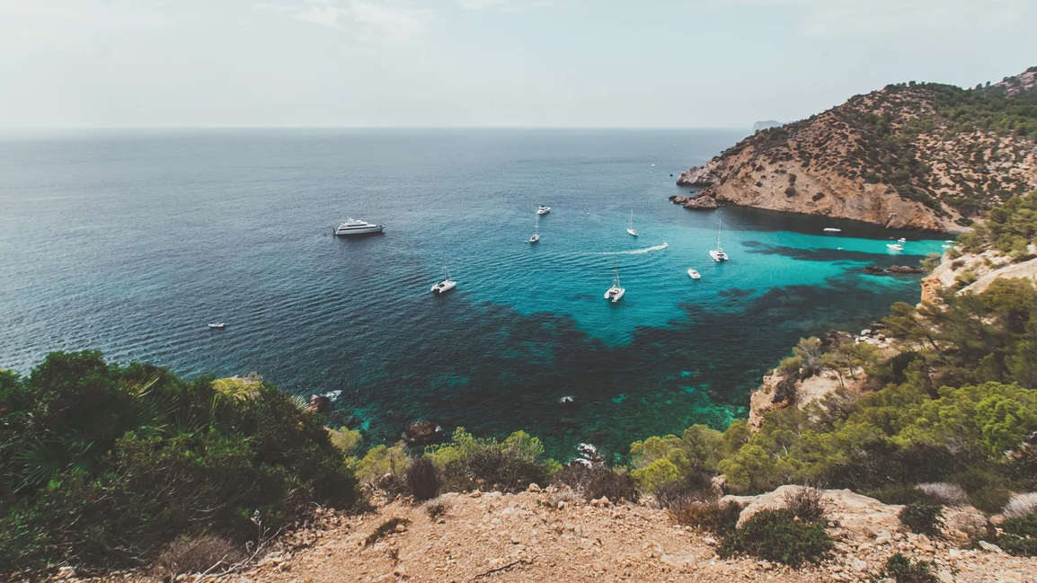 yachts at sea